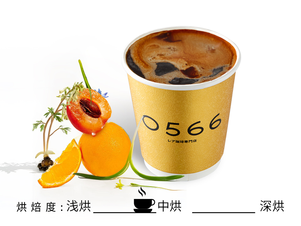 艾力达庄园 瑰夏（蜜处理暗屋厌氧慢速干燥）