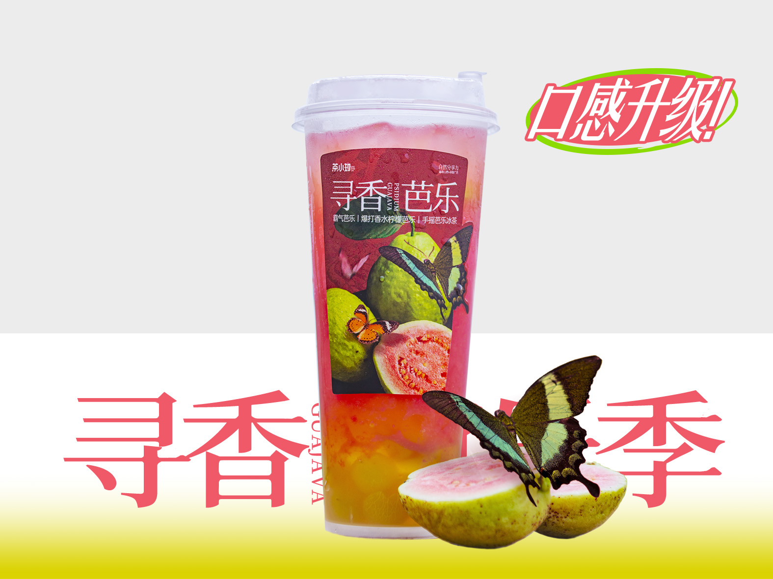 手摇芭乐冰茶