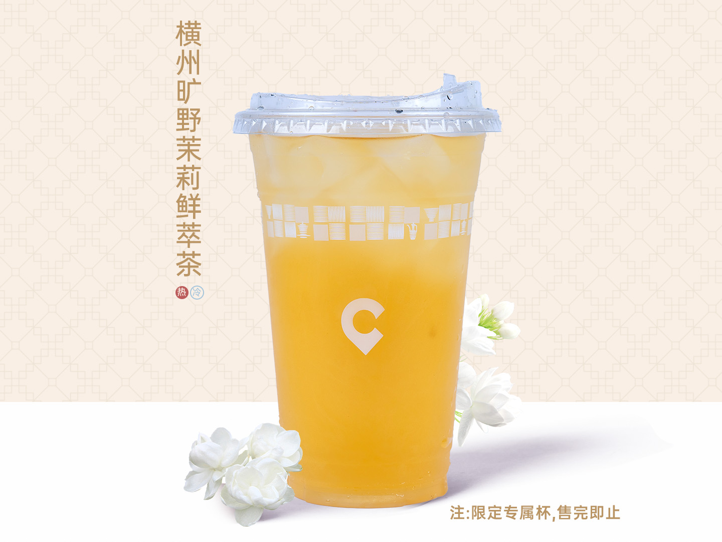 横州旷野茉莉鲜萃茶